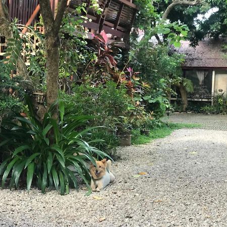 Hotel Baan Songjum Chiang Mai Zewnętrze zdjęcie