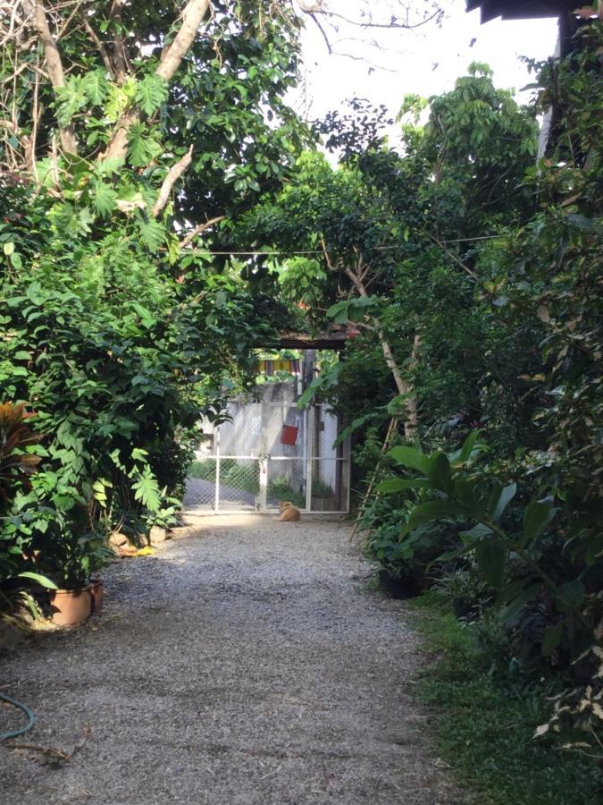 Hotel Baan Songjum Chiang Mai Zewnętrze zdjęcie