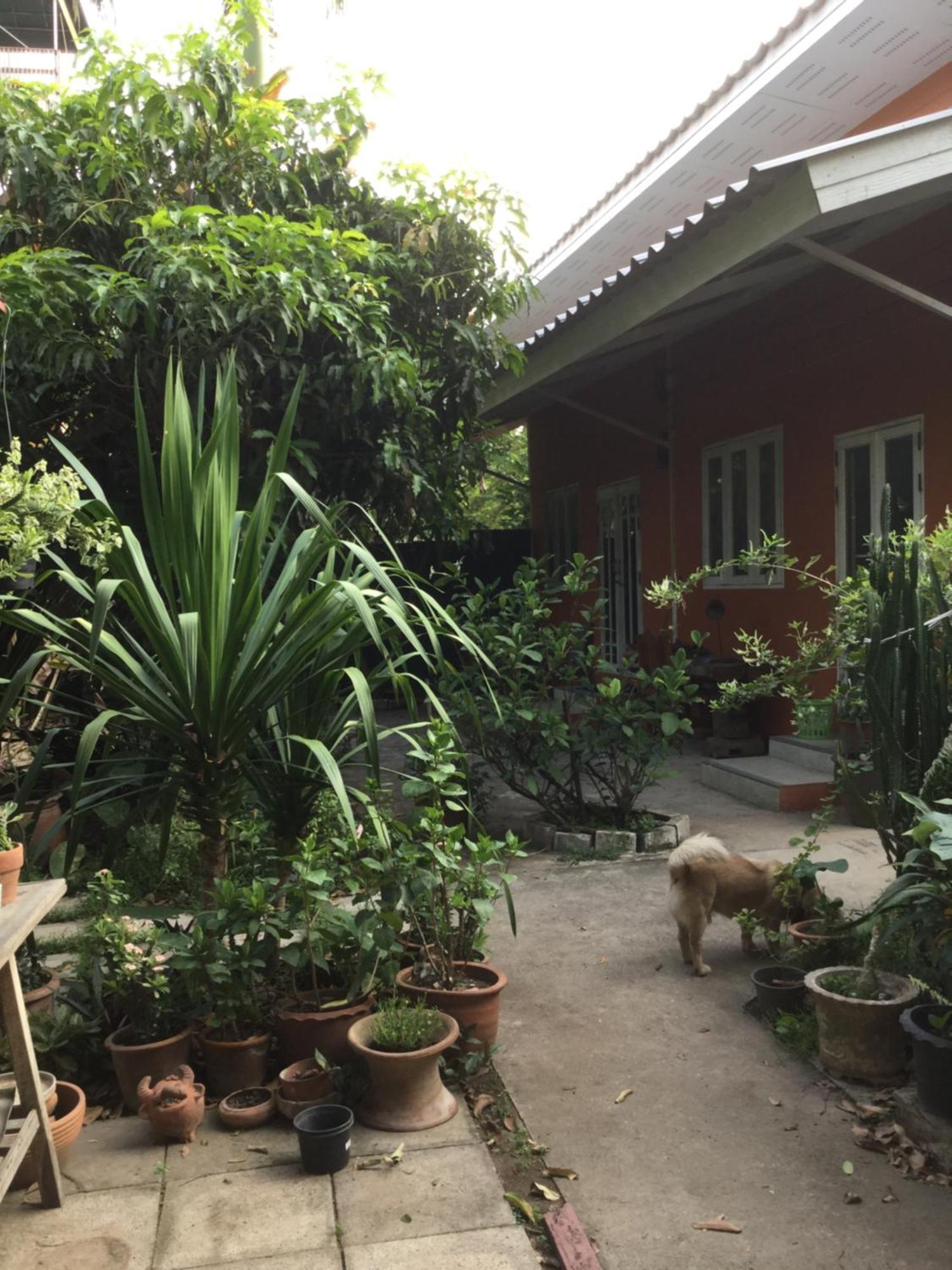 Hotel Baan Songjum Chiang Mai Zewnętrze zdjęcie