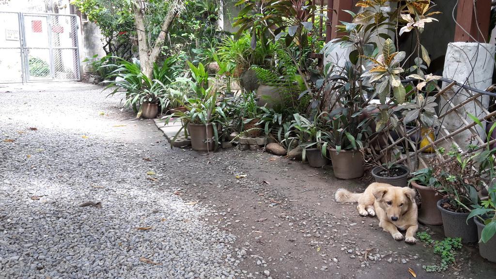 Hotel Baan Songjum Chiang Mai Zewnętrze zdjęcie