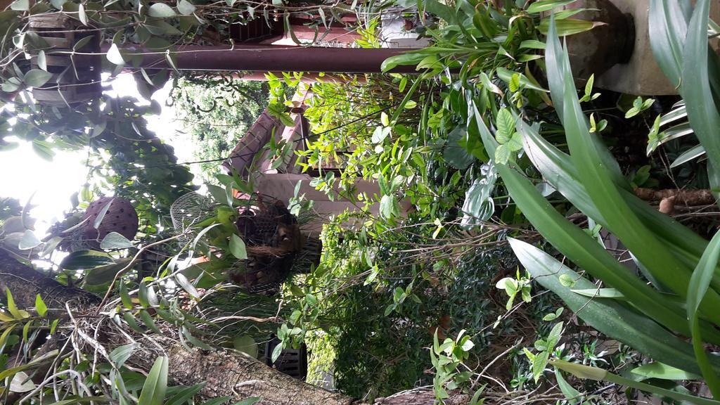 Hotel Baan Songjum Chiang Mai Zewnętrze zdjęcie