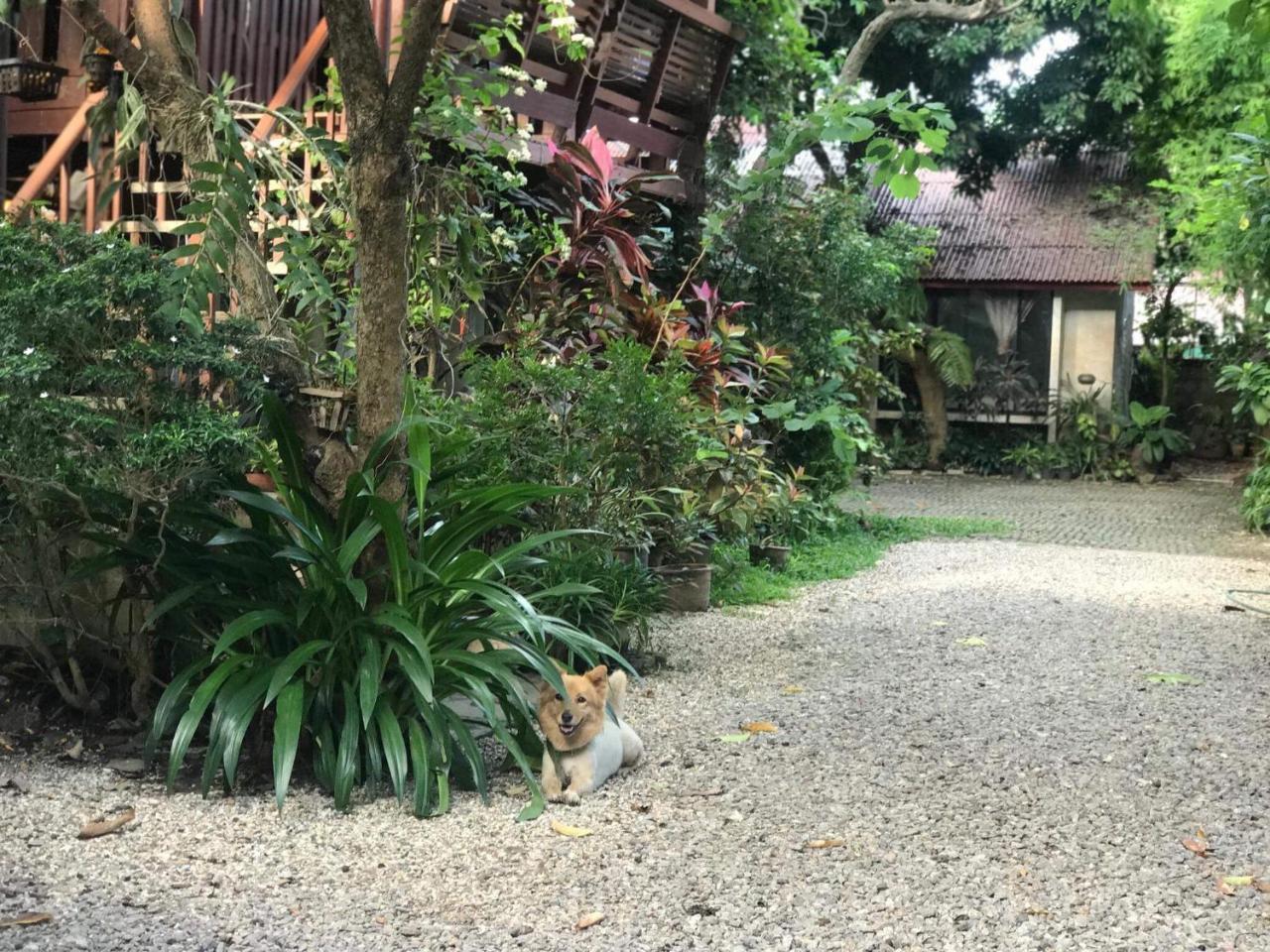 Hotel Baan Songjum Chiang Mai Zewnętrze zdjęcie