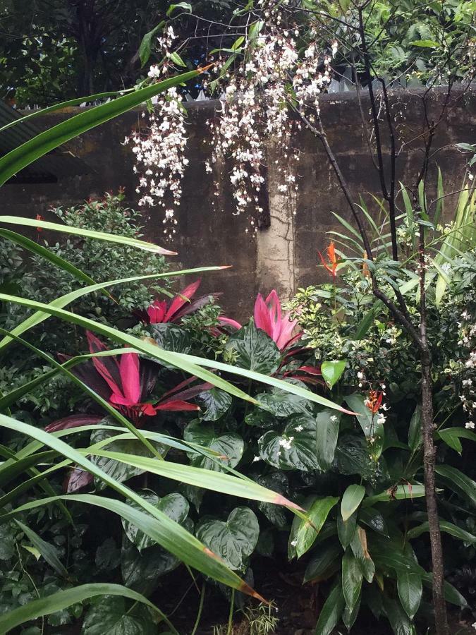 Hotel Baan Songjum Chiang Mai Zewnętrze zdjęcie